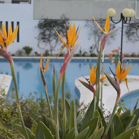 Apartamento Proximo Da Marina Vilamoura C/Piscina E Estacionamento ภายนอก รูปภาพ